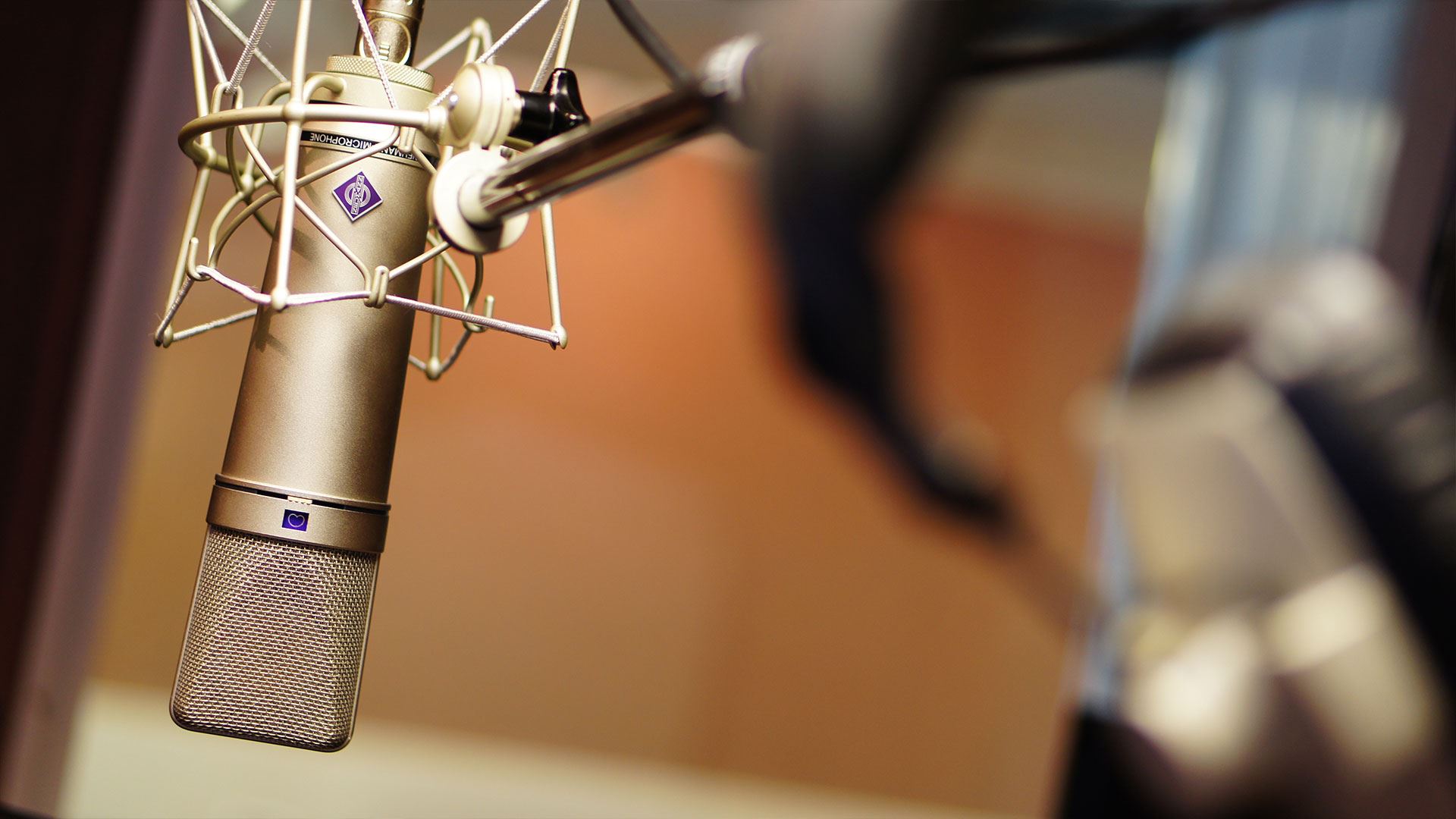Need a VO Artist for your next Project?