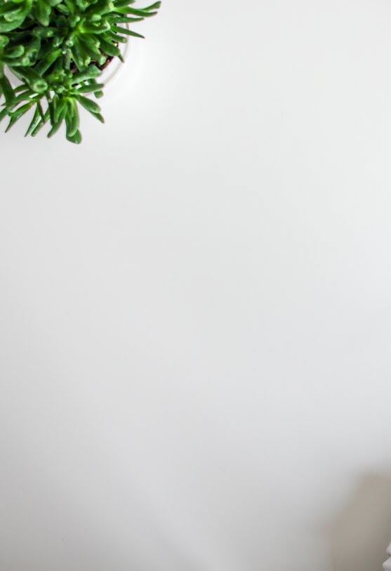 VO show Reel preparation and recording