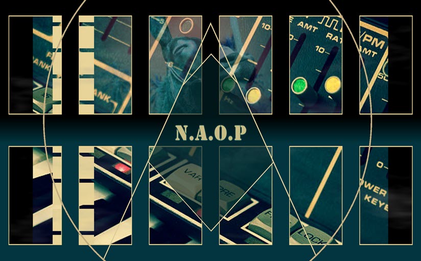 PRESET BUNDLE FOR NATIVE INSTRUMENTS MASSIVE SYNTH - N.A.O.P